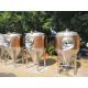 600L Beer Fermentation Tank , Conical Beer Fermenter With Rose Golden Color