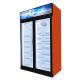 Commercial Ice Cream Vertical Glass Door Freezer For Frozen Food 1450L