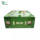 Correx 10mm Plastic Archive Boxes Carton Coroplast Environmental Friendly