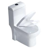 Ada Compliant Dual Flush Toilet Seat 1 Piece 1.28gpf/4.8lpf