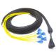 24F Pre Terminated Fiber Optic Cable , SM Pre Terminated Fiber Cable Assemblies With Pulling Eye