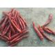 Single Herb Dried Whole Tianjin Red Chilies High SHU Spicy HACCP