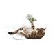 Promotion 80*30*25cm PET Chew Toys For Cat Teaser