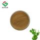 Food grade opuntia dillenii extract CAS 532-32-1 cactus extract weight loss