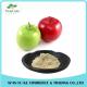 Prevent Vitamin Loss Apple Extract Apple Polyphenols Powder