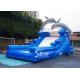 5m high commercial grade Inflatable Backyard Water Slide with Double Dolphinfor kids fun