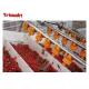 High Speed Wolfberry Beverage Processing Equipment , Fruit Juice Production Line