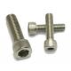 Custom Carbon / Stainless Steel Screws, Precision Hardware Parts