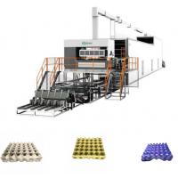 Best Paper Pulp Egg Box Making Machine Full Automatic Egg Tray Maker