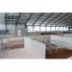 Heavy Prefabricated Steel Structure Cow Shed for MTS Drawing Design Dairy Cattle Farm