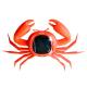 Plastic Solar Animal Toys Children Educational Small Solar Crab