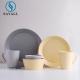 Banqueting Round Colored Porcelain Dinnerware