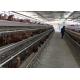 Egg PVOC Layer Chicken Cages For 2000 Birds Poultry Farm Construction