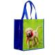 Recyclable Laminated Non Woven Bag Laminated Gift Shopping Bag Eco Friendly
