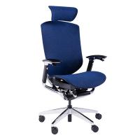 Blue Wintex Mesh High Back Swivel Chairs Height Adjustable Mesh Fabric Chair