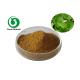 Medical Food Grade Epimedium Extract Powder Flavone 5% For Enhancing Male Sexuality