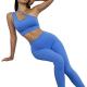 Oem Factory Manufacturer Custom Logo GYM Fitness Leggings Blue Summer Fitness Yoga Suit