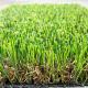 Indoor Garden Artificial Turf Grass Carpet 10800 Detex