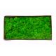 Preserved Moss wall decoration interior decoration beautiful stabilized preserved reindeer moss
