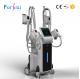 popular in Europe CE And TGA certification vacuum cryolipolysis machine korea