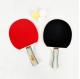 Portable Multi Color Portable Table Tennis Set Wood Material