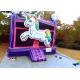 Attractive Colorful Adult Size Bounce House Digital Printing For School Festivals