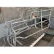 Curved Edge Design Pig Farrowing Crate Hog Equipment OEM / ODM Available