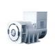 Portable 30kw Brushless Exciter Synchronous Generator 110v avr sx460