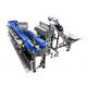 Automatic Sweep Arm Weight Sorting Machine Chicken Duck Fish Food Weight Sorter Grader
