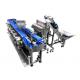 Circular Multi Weight Sorting Machine For Agricultural Marines Products