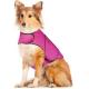  				Dog Anxiety Jacket Vet Recommended Calming Solution Vest for Fireworks, Thunder, Travel, & Separation 	        
