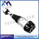 1663202513 Mercedes-benz Air Suspension Parts Shock Absorber For Mercedes B-e-n-z W166 ML-Class Front