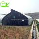 Single-Span Agricultural Greenhouse Mini Mushroom Greenhouse with Optional Irrigation