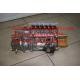 Fuel pump (high pressure pump) P10Z005 C6121 XCMG