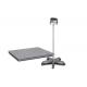 Single Layer Carbon Steel 300kg Floor Weighing Scale