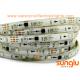 DC12V Addressable 5050 Flexible LED Strip Light , Silicon Waterproof IP65 LED