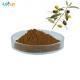 Natural 20% Oleuropein Olive Leaf Extract Powder 80 Mesh