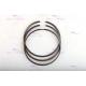  2013 Engine Piston Rings , OEM 21299547 Piston Seal Ring