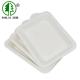 9in Customized Logo Biodegradable Bagasse Plates For Happy Birthday Cake