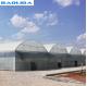 Steel Structure Polythene Grow Tunnel For Tomato And Cucumber