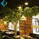 2.5m Artificial Tree Plant For Restaurant Wedding Hotel Home Decoration