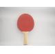 Professional Table Tennis Bats With Colorful Lines Inlaid Handle