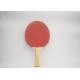 Professional Table Tennis Bats With Colorful Lines Inlaid Handle