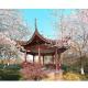 Custom Chinese Garden Antique Design Solid Leisure Pavilion WaterProof