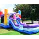 Kids Garden Inflatable Bounce House Combo Customized Size