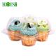 4 Hole Plastic Cupcake Packaging With Transparent PET Hinge Clamshell