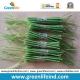 Transparent Green PU Coating Coiled Cable Tool Lanyard Ropes ready for Ends Assembly