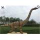 Large Sized And Beautiful Dinosaur Model Made With High - Density Sponge