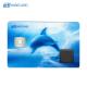High Secured Fingerprint Smart Card For Stand Alone Authentication