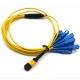 12 Core MPO Breakout Cable , MTP SC Patch Cable For FTTH FTTA